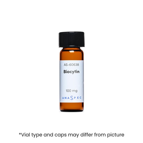 Bottle of Biocytin (Epsilon-Biotinoyl-L-Lysine)