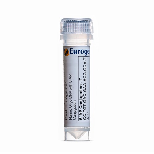 Example of a tube of an Oligonucleotide with 5' AP Conjugation