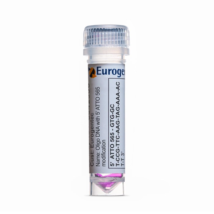 Example of a tube containing an Oligonucleotides with 5' ATTO 565  modification